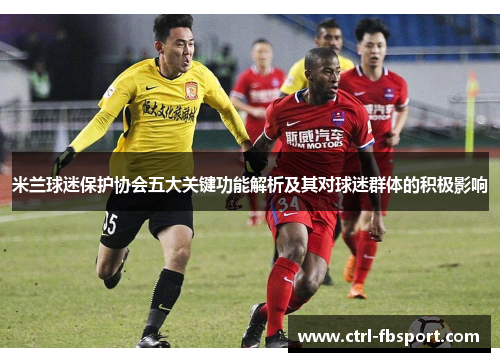 米兰球迷保护协会五大关键功能解析及其对球迷群体的积极影响