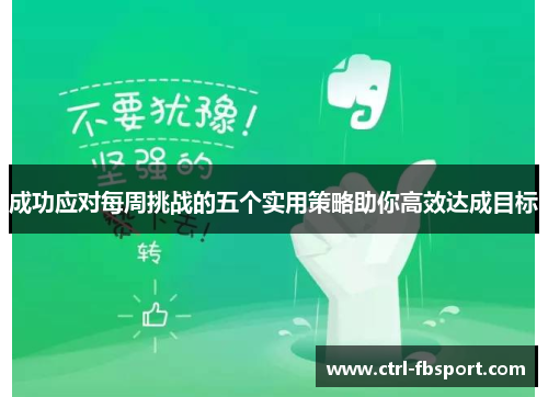 成功应对每周挑战的五个实用策略助你高效达成目标