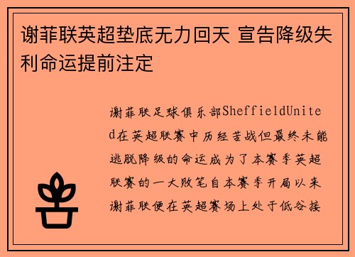 谢菲联英超垫底无力回天 宣告降级失利命运提前注定